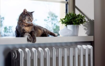 4 Ways for Pet Owners Can Help Their HVAC in Lake Charles, LA