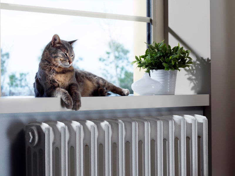 Pet hair can affect HVAC